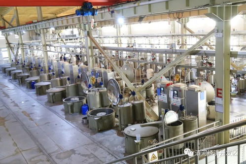 圖說智能紡織工廠丨河北南冠科技建設國際一流數(shù)字化車間與技術創(chuàng)新路徑